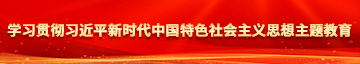 操骚逼免费手机网站学习贯彻习近平新时代中国特色社会主义思想主题教育